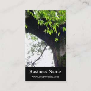 © Tree l Still Nature l Photography Business Card