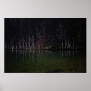 Tree landscape at lake poster