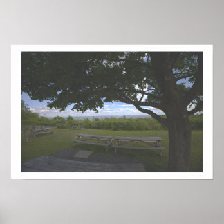 Tree Landscape View Photo Poster
