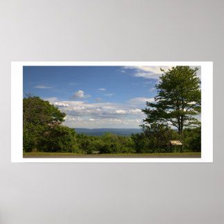 Tree Landscape View Photo Poster