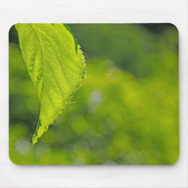 Tree leaf bokeh mouse pad (Front)