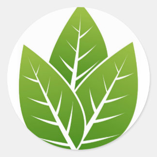 tree  leaf sign classic round sticker