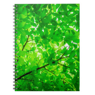 Tree leaf twig texture pattern notebook