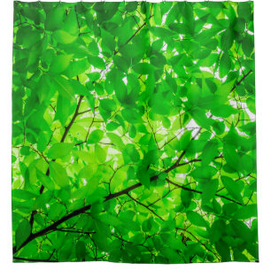 Tree leaf twig texture pattern shower curtain