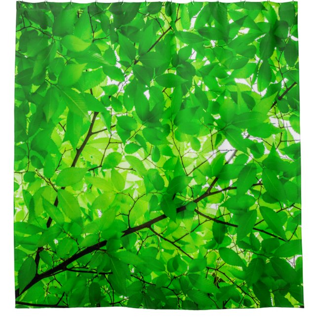 Tree leaf twig texture pattern shower curtain (Front)