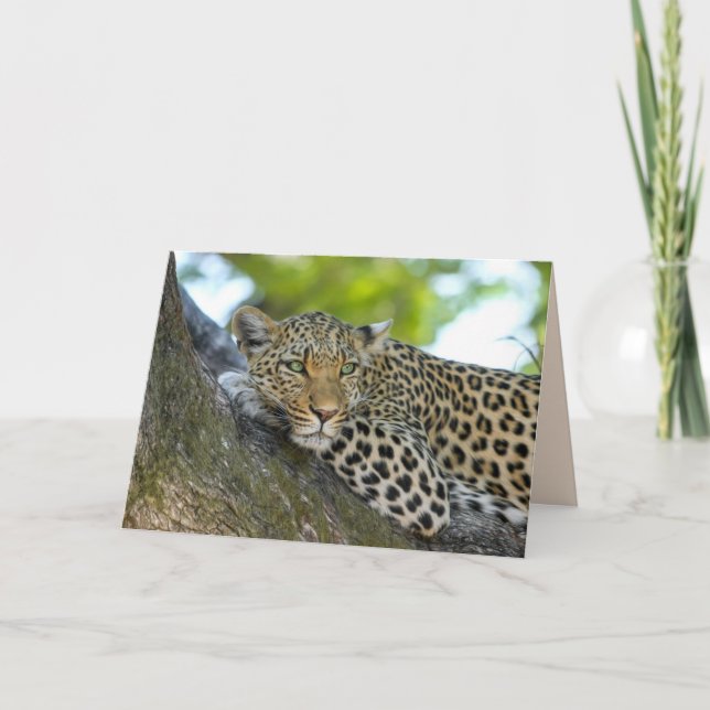 tree leopard greeting card (Front)