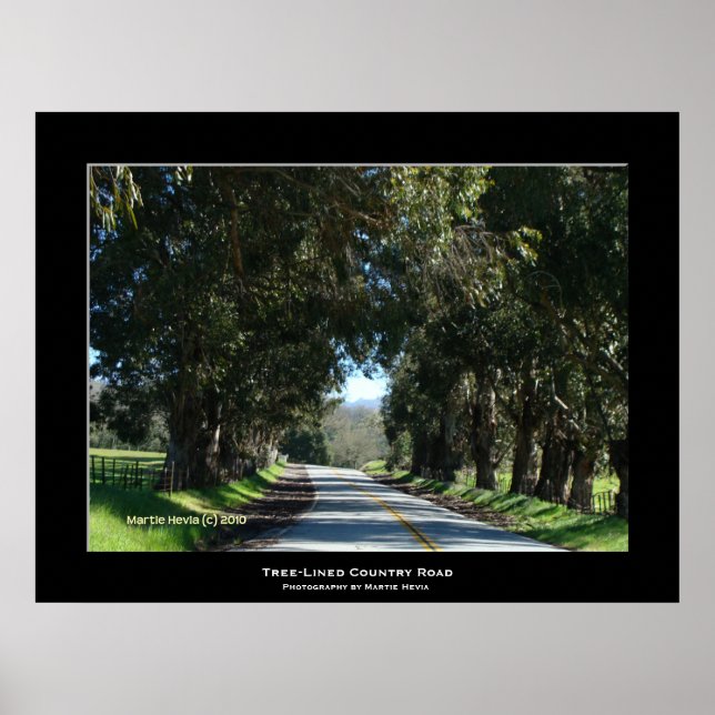 "Tree-Lined Country Road" Poster (Front)