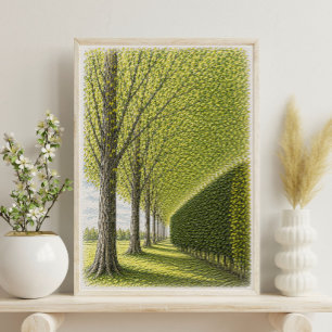 Tree Lined Pathway   Botanical Landscape Art Poster