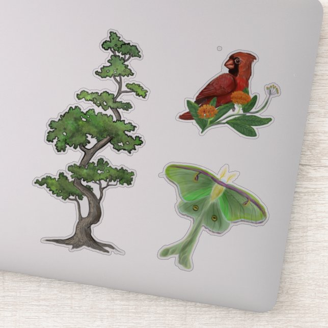 Tree, Luna Moth, and Cardinal Bird Nature (Detail)