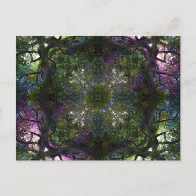 Tree Magic Postcard (Front)