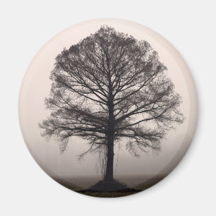 Tree Magnet