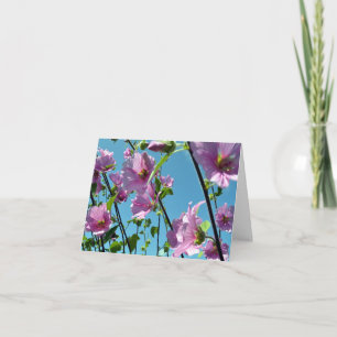 Tree Mallow (Lavatera arborea) Card