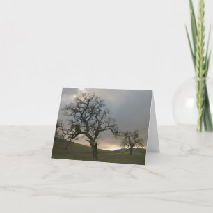 Tree Mates: Winter Oaks with Mistletoe Holiday Card