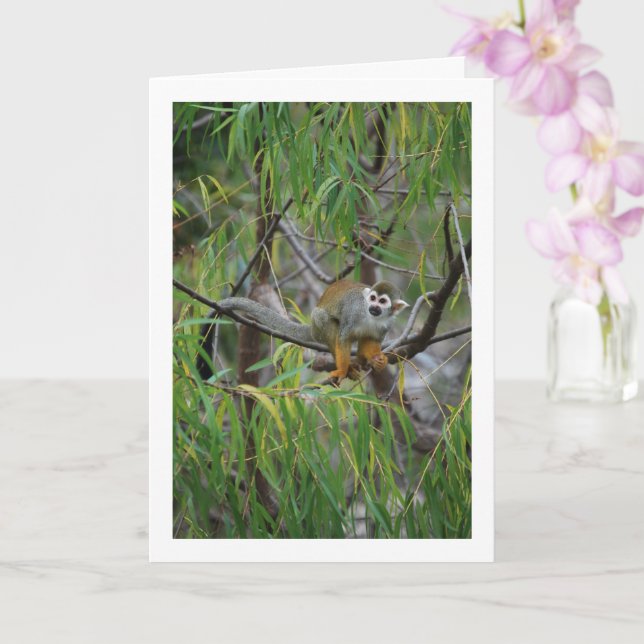 Tree Monkey Card (Orchid)