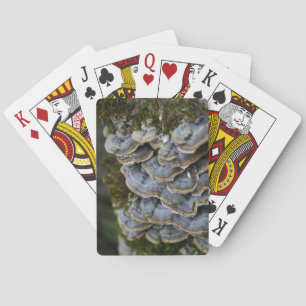 Tree Mushrooms Photo Playing Cards
