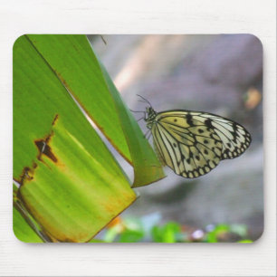 Tree Nymph Rice Paper Butterfly Mousepad