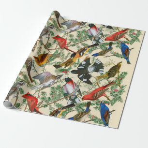 "Tree of Grosbeak" (Birds) giftwrap Wrapping Paper
