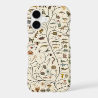 Tree of Life