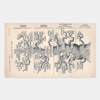 "Tree of Life" 1859 illustration by Ernst Haeckel Rectangular Sticker