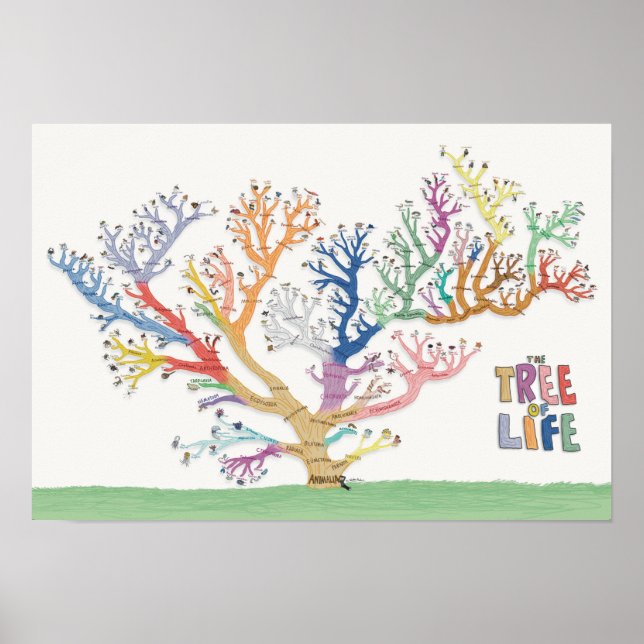 Tree of Life (19x13) Poster (Front)