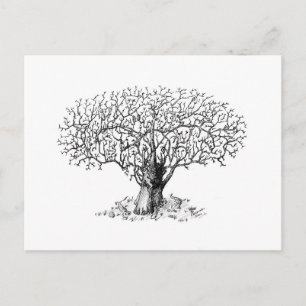 Tree of Life - animals Postcard