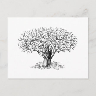 Tree of Life - animals Postcard