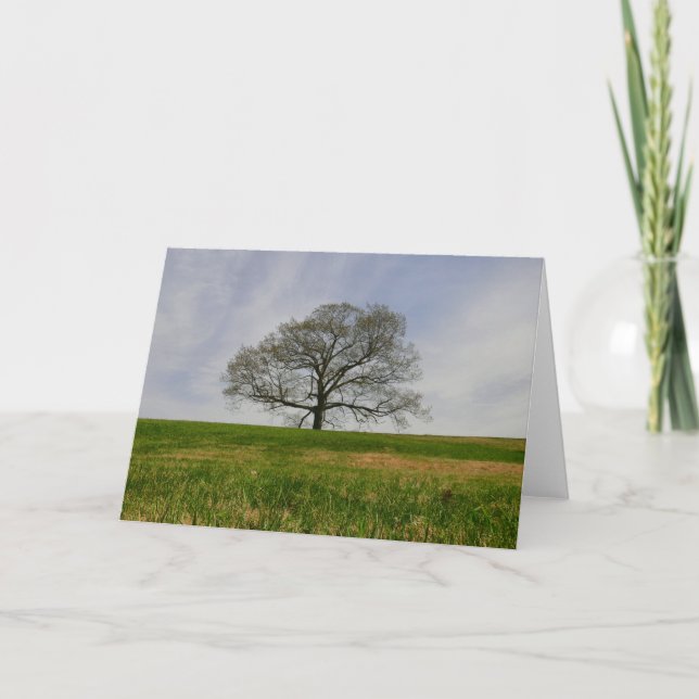 Tree of life Card (Front)