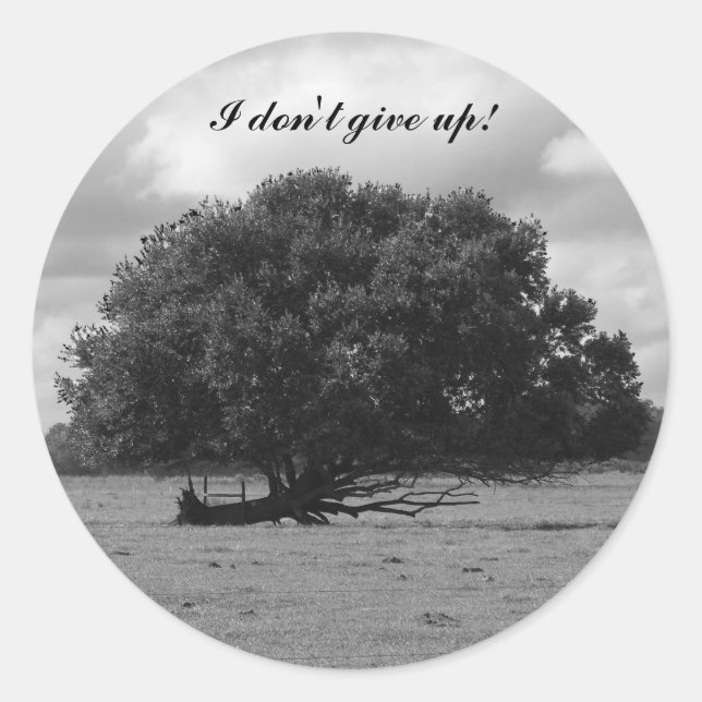 Tree of Life Classic Round Sticker (Front)
