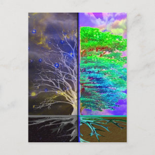 Tree of Life Connection Postcard