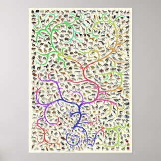 Tree of Life Darwinian Theory of Evolution Poster