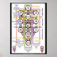 Tree of Life Diagram | All Sizes