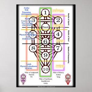 Tree of Life Diagram   All Sizes Poster