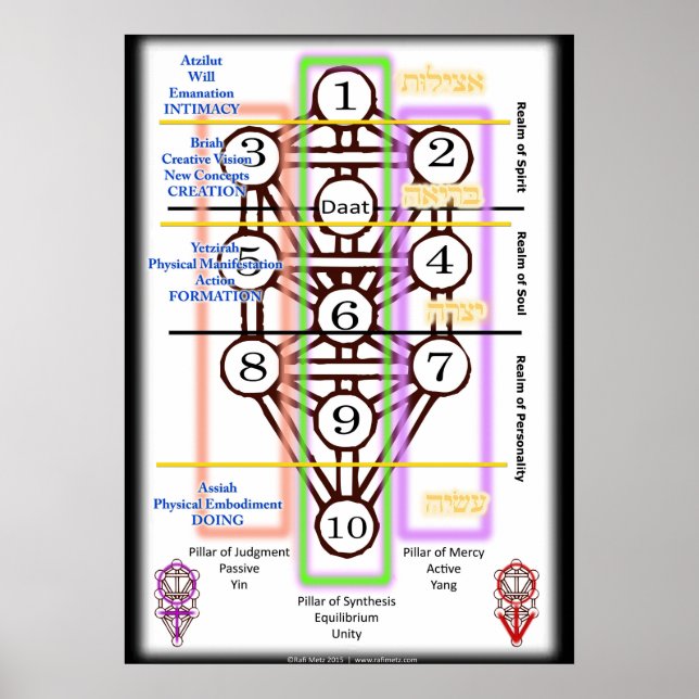 Tree of Life Diagram | All Sizes Poster (Front)