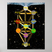 Tree of Life Diagram with Hebrew labels
