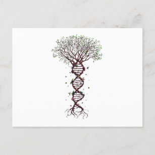 Tree of Life DNA Genetics Biology Environment Announcement Postcard