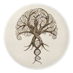 Tree of Life - Evolution Ceramic Knob