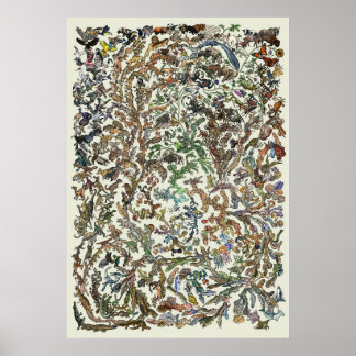 Tree of Life - Evolution Poster - Colour