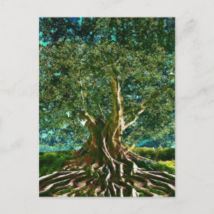 Tree of Life Green Postcard