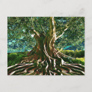 Tree of Life Green Postcard