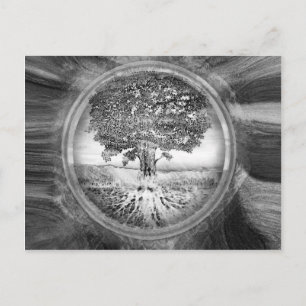 Tree of Life Hope Black White Postcard