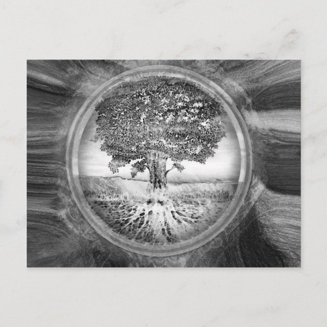 Tree of Life Hope Black White Postcard (Front)