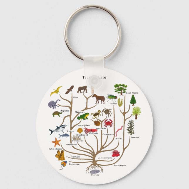 Tree Of Life Key Ring (Front)