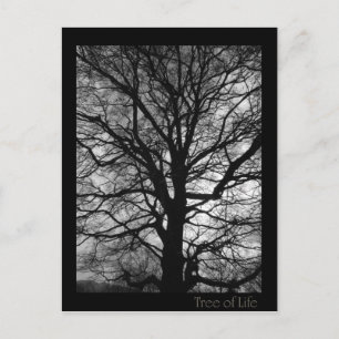 Tree of Life - Lebensbaum - Baum des Lebens Postcard