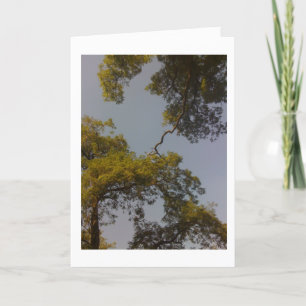 Tree Of Life Lives Long & Prospers Card