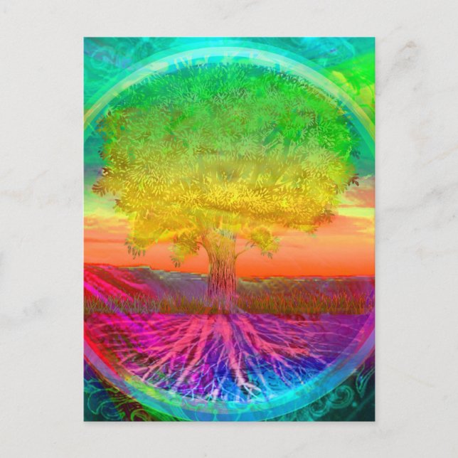 Tree of Life Miracles Postcard (Front)