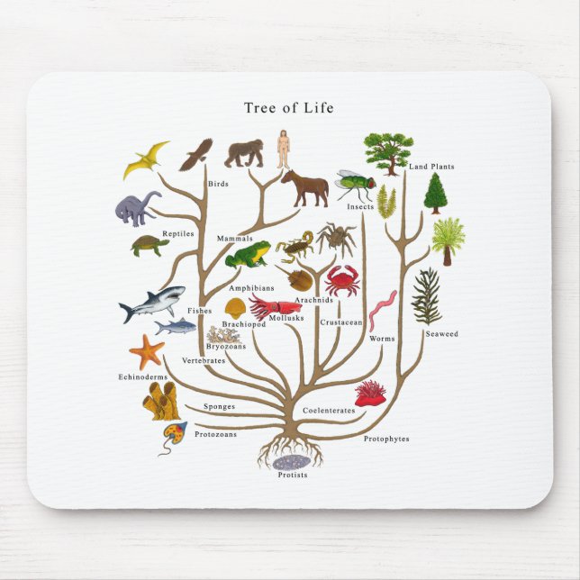 Tree Of Life Mouse Pad (Front)