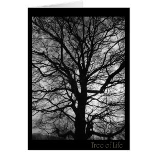 Tree of Life - not only for tree huggers