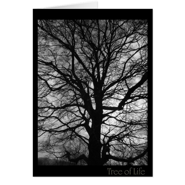 Tree of Life - not only for tree huggers (Front)