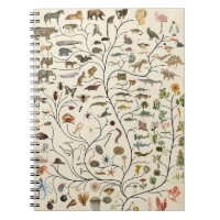 Tree of Life
