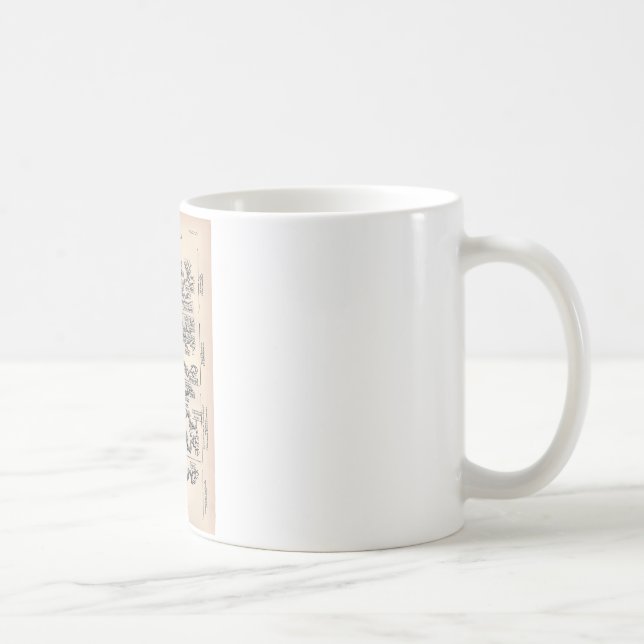 Tree Of Life / Pedigree Of Man Coffee Mug (Right)